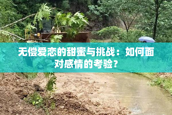 无偿爱恋的甜蜜与挑战：如何面对感情的考验？