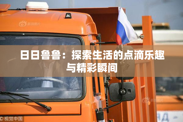 日日鲁鲁：探索生活的点滴乐趣与精彩瞬间