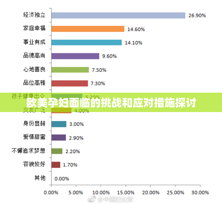 欧美孕妇面临的挑战和应对措施探讨