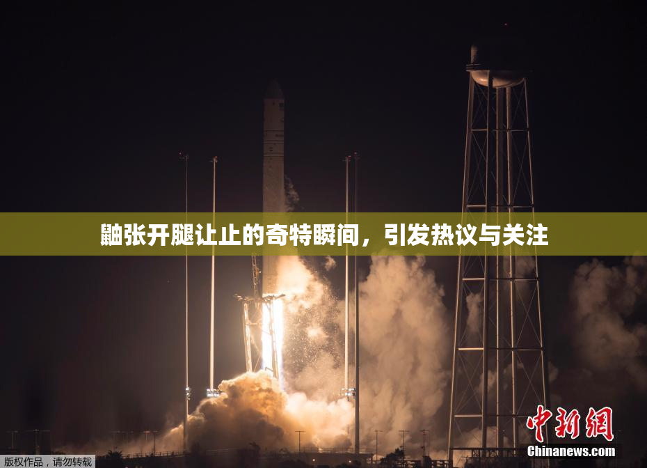 鼬张开腿让止的奇特瞬间，引发热议与关注