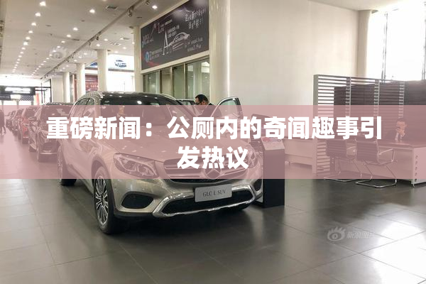重磅新闻：公厕内的奇闻趣事引发热议