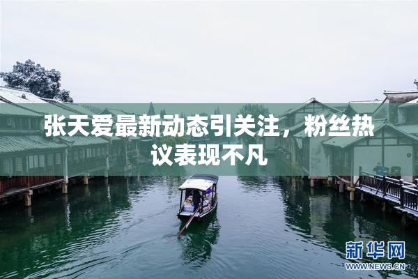 张天爱最新动态引关注，粉丝热议表现不凡