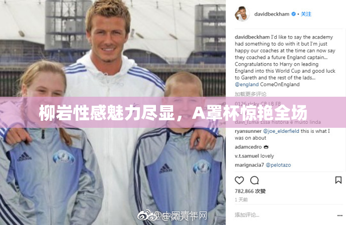 柳岩性感魅力尽显，A罩杯惊艳全场