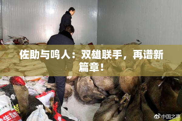 佐助与鸣人：双雄联手，再谱新篇章！