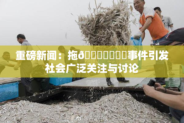 重磅新闻：拖👙❌‌❌‌事件引发社会广泛关注与讨论