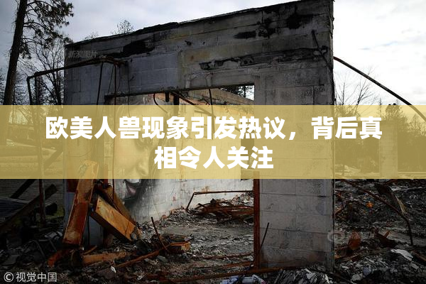欧美人兽现象引发热议，背后真相令人关注