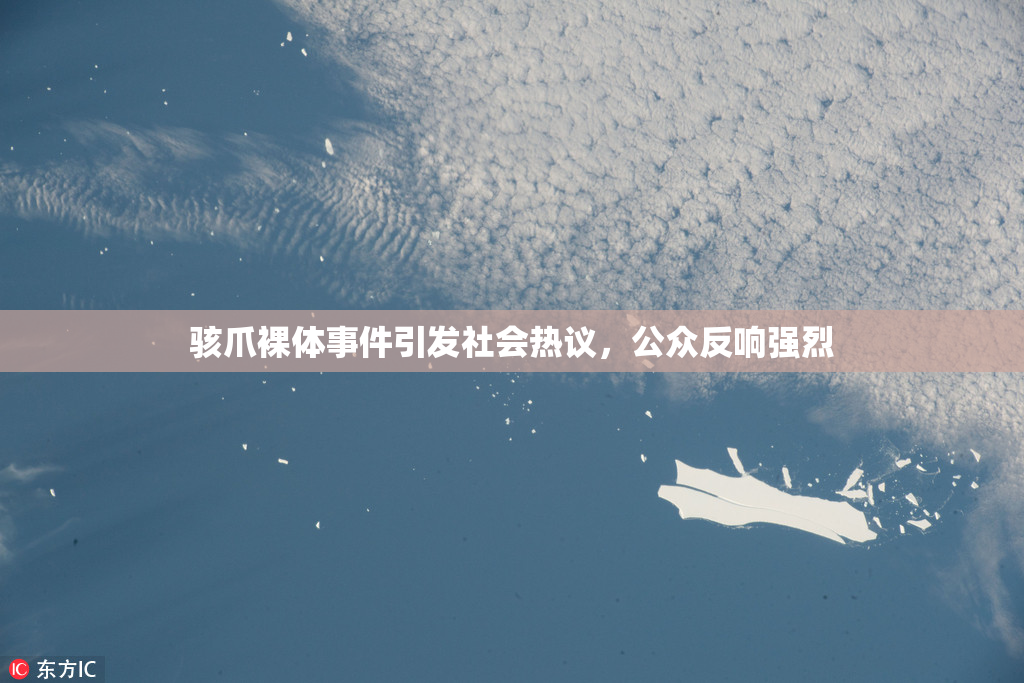 骇爪裸体事件引发社会热议，公众反响强烈