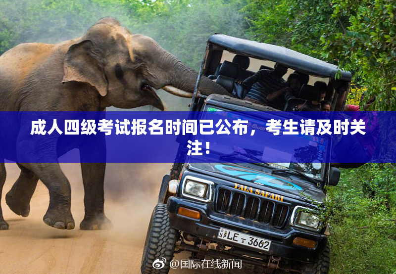 成人四级考试报名时间已公布，考生请及时关注！