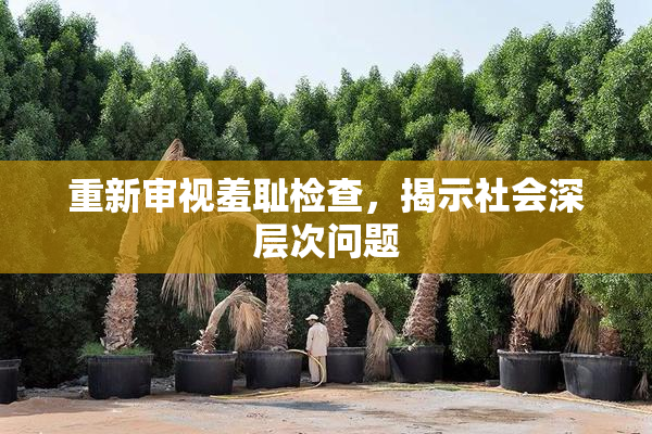 重新审视羞耻检查，揭示社会深层次问题