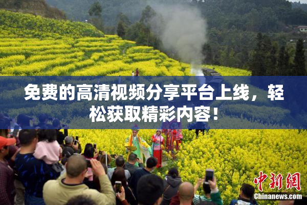 免费的高清视频分享平台上线，轻松获取精彩内容！