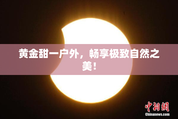 黄金甜一户外，畅享极致自然之美！