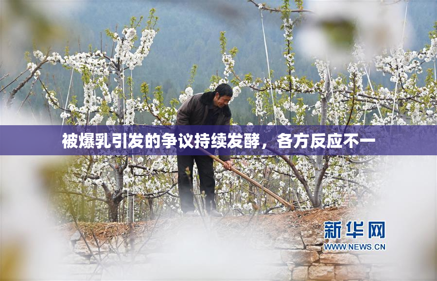 被爆乳引发的争议持续发酵，各方反应不一