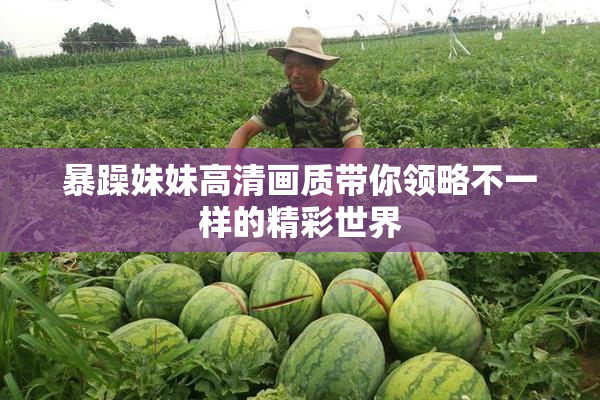 暴躁妹妹高清画质带你领略不一样的精彩世界