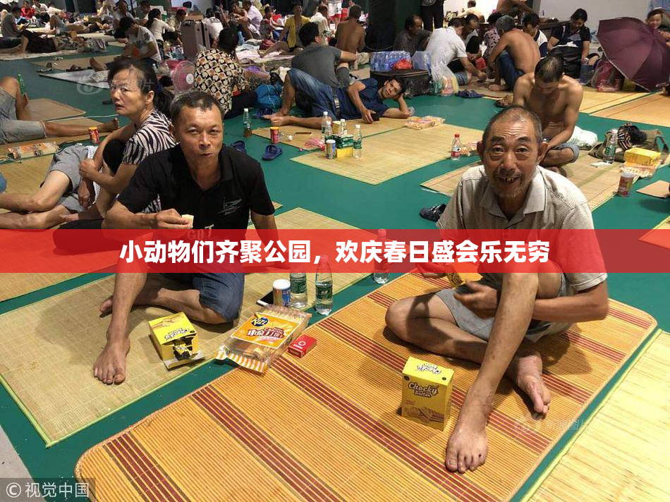 小动物们齐聚公园，欢庆春日盛会乐无穷