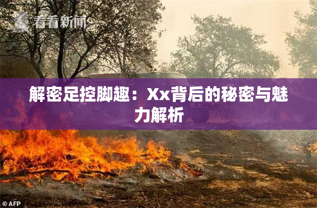 解密足控脚趣：Xx背后的秘密与魅力解析