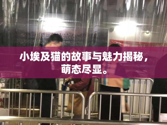 小埃及猫的故事与魅力揭秘，萌态尽显。