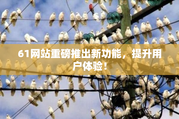 61网站重磅推出新功能，提升用户体验！