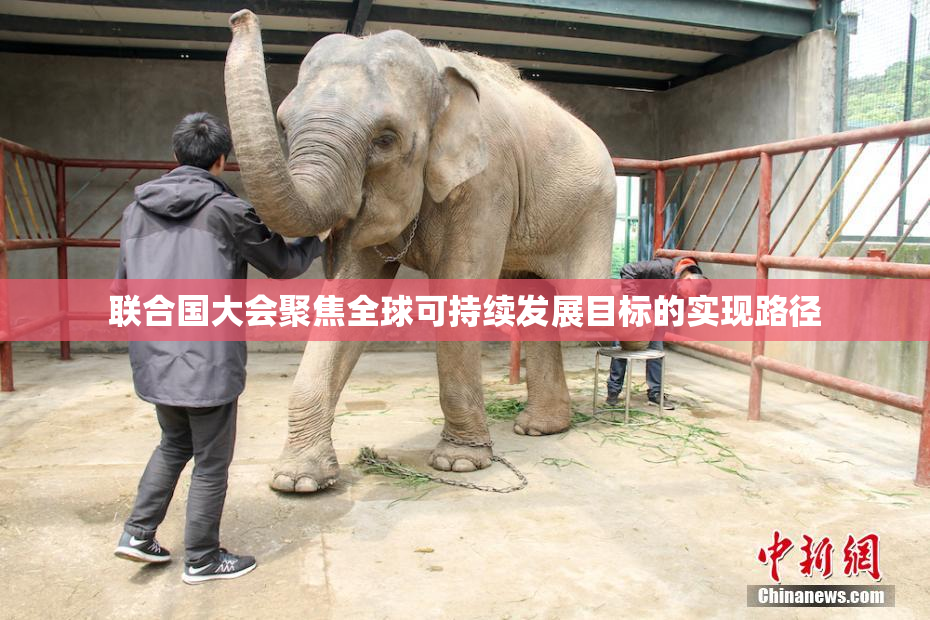 联合国大会聚焦全球可持续发展目标的实现路径