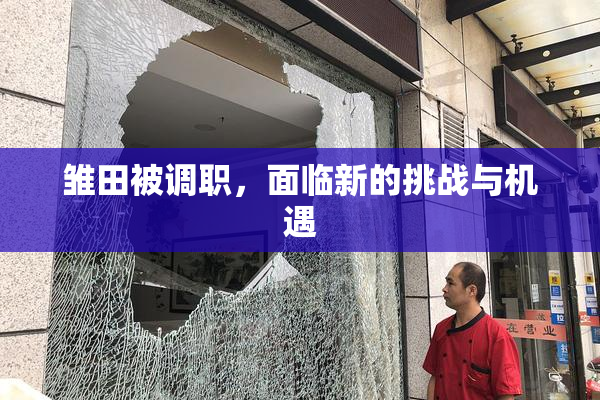 雏田被调职，面临新的挑战与机遇