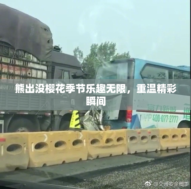 熊出没樱花季节乐趣无限，重温精彩瞬间