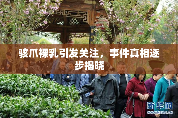 骇爪裸乳引发关注，事件真相逐步揭晓
