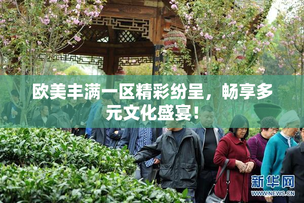欧美丰满一区精彩纷呈，畅享多元文化盛宴！