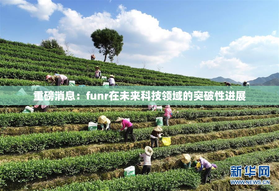 重磅消息：funr在未来科技领域的突破性进展