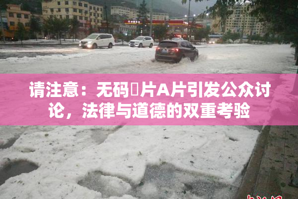 请注意：无码婬片A片引发公众讨论，法律与道德的双重考验
