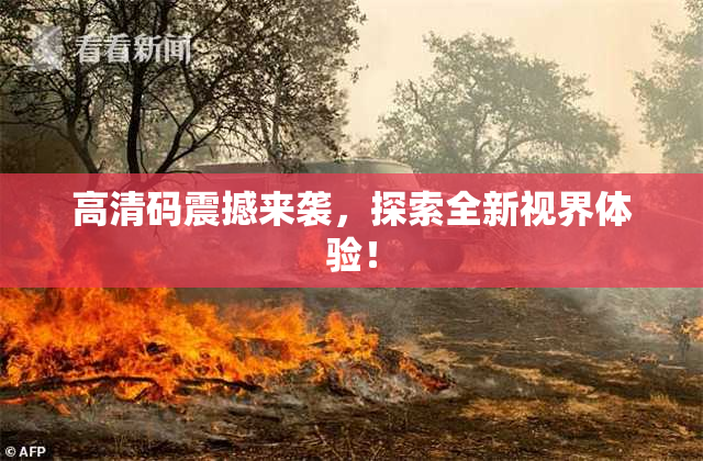 高清码震撼来袭，探索全新视界体验！