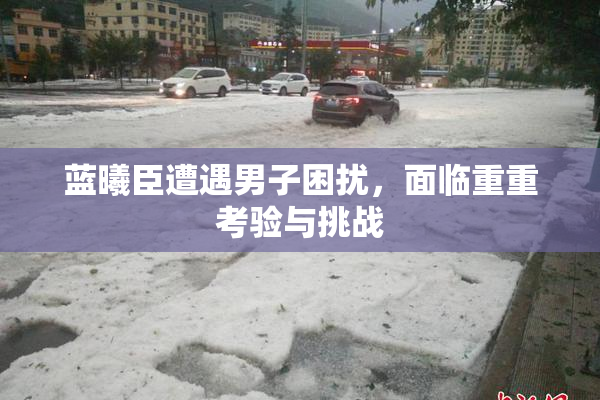 蓝曦臣遭遇男子困扰，面临重重考验与挑战