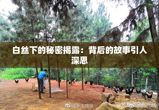 白丝下的秘密揭露：背后的故事引人深思