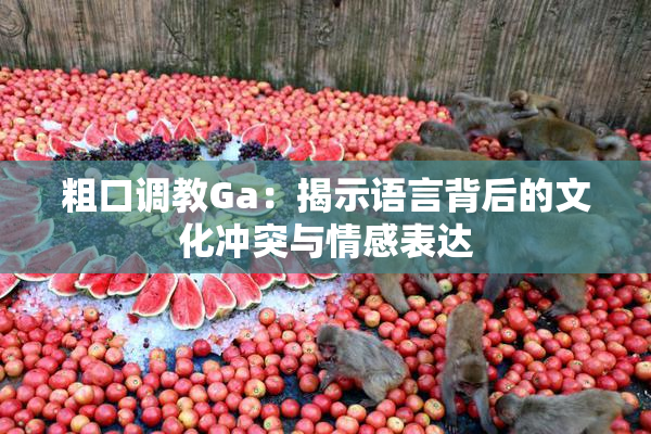 粗口调教Ga：揭示语言背后的文化冲突与情感表达