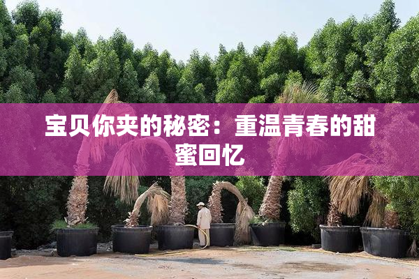 宝贝你夹的秘密：重温青春的甜蜜回忆
