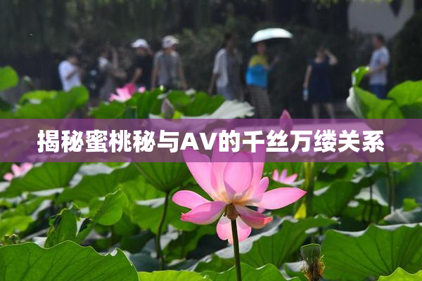 揭秘蜜桃秘与AV的千丝万缕关系