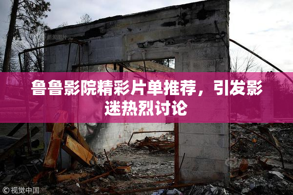鲁鲁影院精彩片单推荐，引发影迷热烈讨论