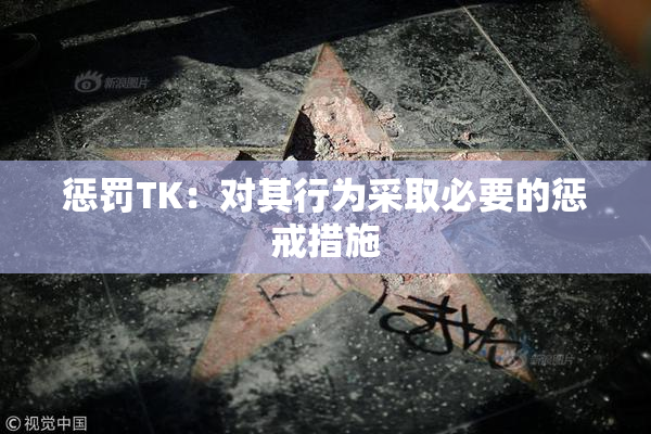 惩罚TK：对其行为采取必要的惩戒措施