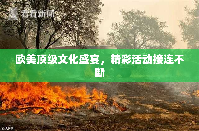 欧美顶级文化盛宴，精彩活动接连不断