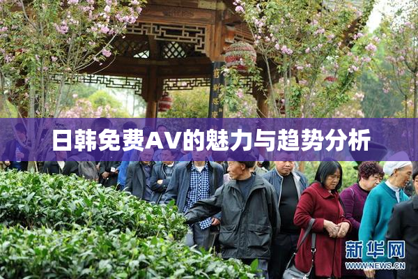 日韩免费AV的魅力与趋势分析
