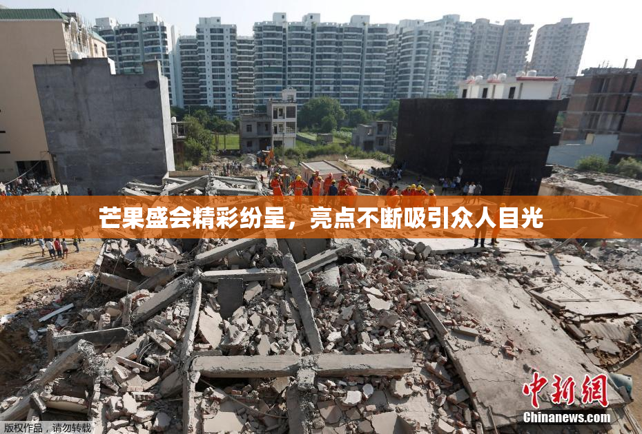 芒果盛会精彩纷呈，亮点不断吸引众人目光