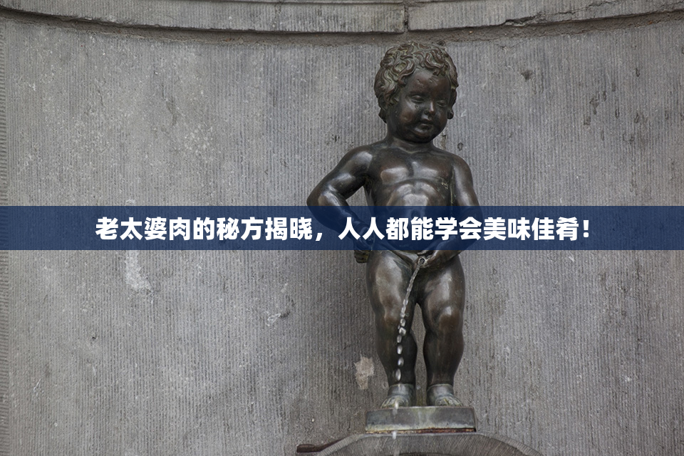 老太婆肉的秘方揭晓，人人都能学会美味佳肴！