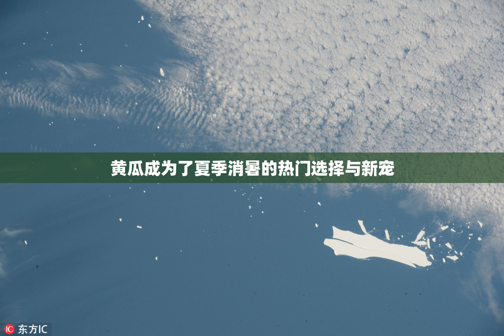 黄瓜成为了夏季消暑的热门选择与新宠