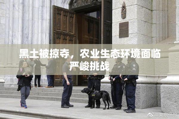 黑土被掠夺，农业生态环境面临严峻挑战
