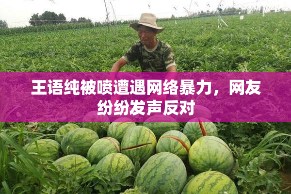王语纯被喷遭遇网络暴力，网友纷纷发声反对
