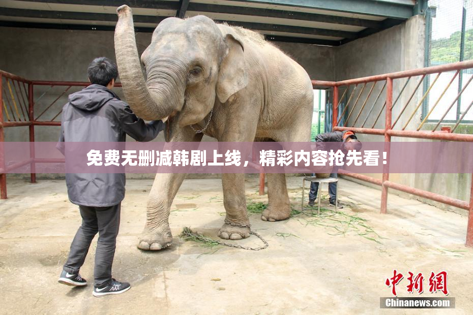 免费无删减韩剧上线，精彩内容抢先看！