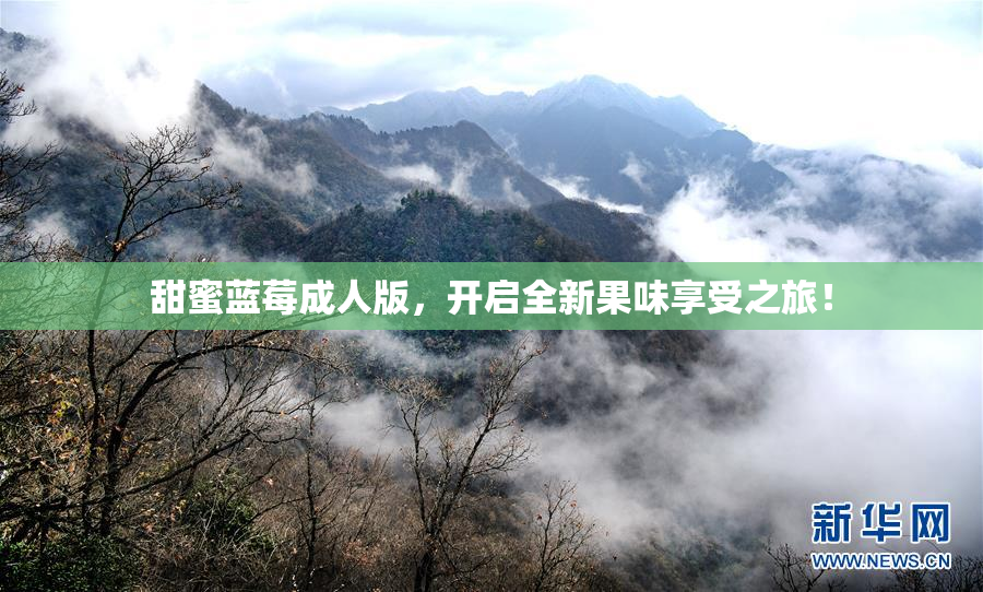 甜蜜蓝莓成人版，开启全新果味享受之旅！