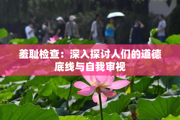 羞耻检查：深入探讨人们的道德底线与自我审视