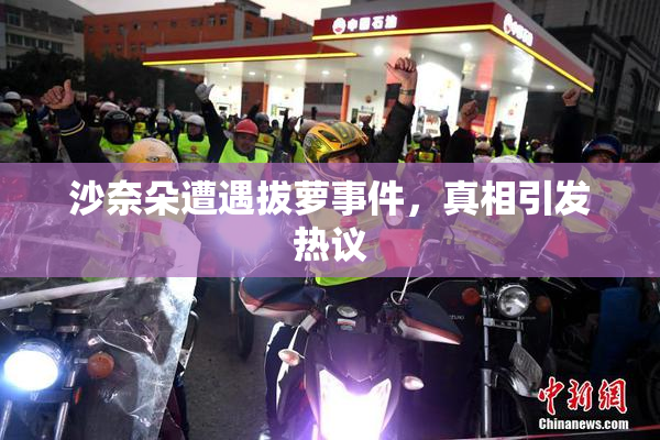 沙奈朵遭遇拔萝事件，真相引发热议