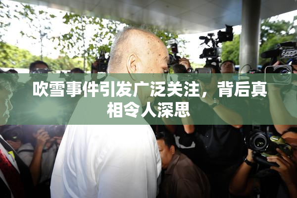 吹雪事件引发广泛关注，背后真相令人深思
