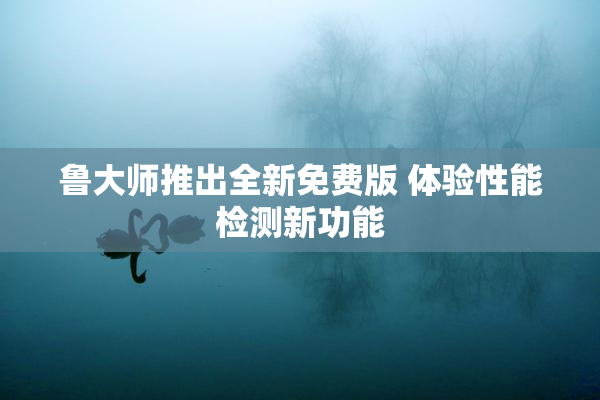 鲁大师推出全新免费版 体验性能检测新功能
