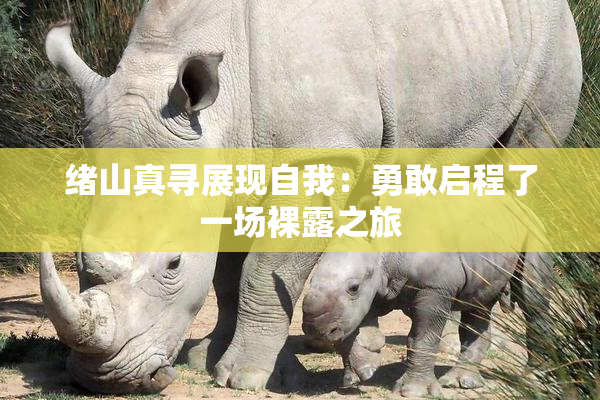 绪山真寻展现自我：勇敢启程了一场裸露之旅